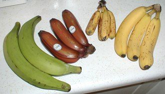 Banane